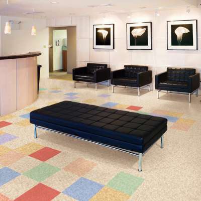 Education Area Waterproof PVC Homogeneous Resilient Roll Flooring